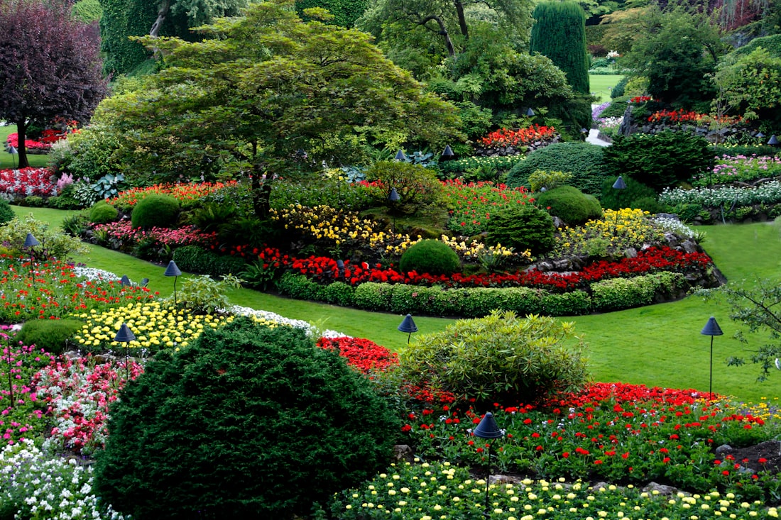 Lush flower beds and manicured shrubs in The Butchart Gardens in Victoria, Canada.