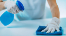 Alnajm Alaneeq Cleaning Services