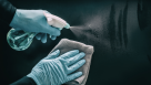 The Botanist Detergents & Disinfectants Manufacturing