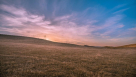Elite Landscape