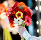 Dodo Flowers