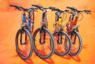 Al Wodooh Bicycles Trading