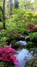 Green Dream Landscaping