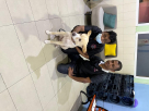 Paws & Whiskers Pets Nursery