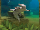 Dubai Crocodile Park