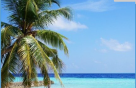 Al Tahadi Tourism & Travel