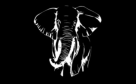 Elephantus Art Gallery Co.
