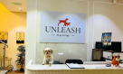 Unleash Domestic Pets Boarding