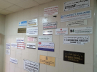 Younus Miah Technical Services