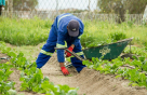 Target Domestic Workers Services
