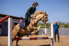Just Ladies Horse Riding