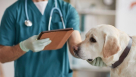Faris Al Aweer Veterinary Medicines Trading