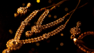Noor Al Qamar Jewellery Trading