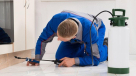 Green Avenue Pest Control & Cleaning