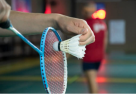 Solid Badminton