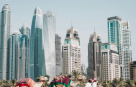 Smart Rovers Travel & Tourism
