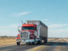 Alman Transport