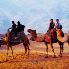 Desert Delight Travel & Tourism