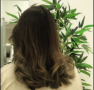 The White Lily Ladies Beauty Salon