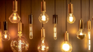 Raiz Electrical