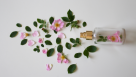 Bin Tammam Perfumes