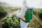 Bugs Free Pest Control Services