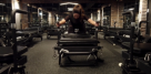 Karve Fitness Club L.l.c