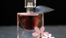 Hibr Perfumes Trading