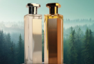 Dar Al Hay Perfumes