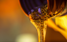 Petro Gulf Refined Oil Products Trading