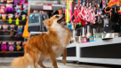 Oh My Pet Shop