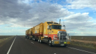 Butt Transport By Heavy & Light Trucks