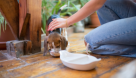 Purr & Bark Veterinary Clinic