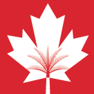 Canadian University Dubai (br Of Dubai Education (l L C))