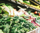 Hasaad Organics Foodstuff