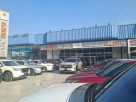 Al Shiba Motors