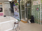 Panda Pets Trading