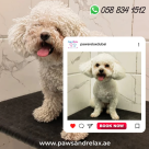 Paws & Relax Pets Salon