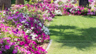 Gebal Al Qalamoon Garden Design