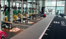 Vivo Fitness