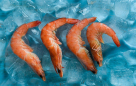 Gray Diamond Fish & Sea Food Trading