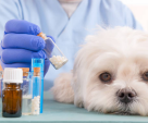 Delta Vet Veterinary Medicines Trading