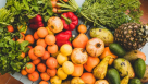 Anam Al Madina Fruits & Vegetables Trading