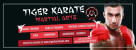 Tiger Karate Martial Arts