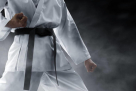 Goju Ryu Karate