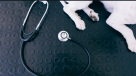 Super Vet Veterinary Medicines And Equipment Trading