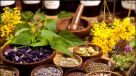 Anwar Al Hikmah Natural Herbs Trading