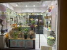 Winzen For Flowers & Ornamental Plants Trading