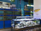 Arowana Pets And Aquarium