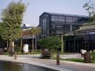 Senso